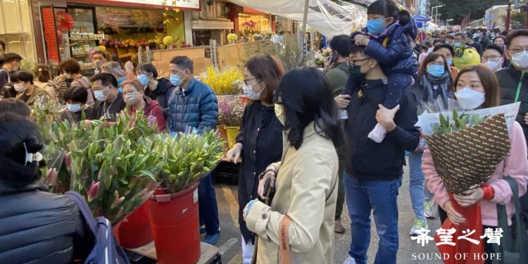 鄰近中國新年,旺角花墟購買年花的市民絡繹不絕。(攝影:鄭銘)