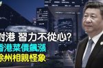 香港希望之聲 香港希望之聲
