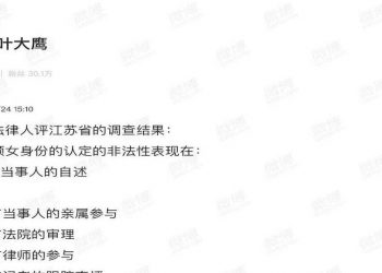 質疑江蘇調查結果非法 紅三代葉大鷹聲援鐵鏈女被刪帖