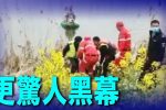香港希望之聲