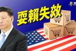 香港希望之聲 香港希望之聲