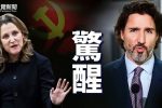香港希望之聲 香港希望之聲