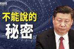 香港希望之聲