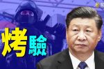 香港希望之聲