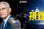 香港希望之聲