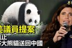 香港希望之聲 香港希望之聲