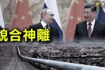 香港希望之聲