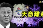 香港希望之聲 香港希望之聲