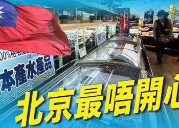 【粵覽新聞】習近平痛失訪日大禮！台放寬福島五縣食品進口；谷愛凌國籍引爭議 支持黑命貴卻對中國人權噤聲 ｜主播：黃曉翔