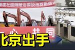 香港希望之聲