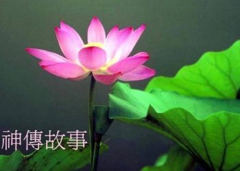 《神傳故事》第50集  王老飲仙酒仙及雞犬
