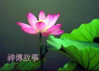 《神傳故事》第46集  王興食菖蒲成仙   