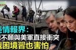 香港希望之聲