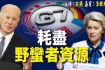 香港希望之聲