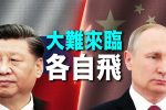 香港希望之聲