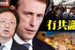 香港希望之聲