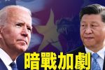香港希望之聲