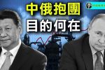 香港希望之聲