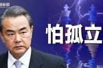 香港希望之聲