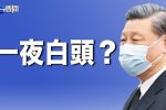 香港希望之聲