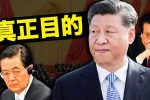 香港希望之聲