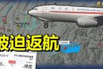 香港希望之聲