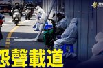 香港希望之聲