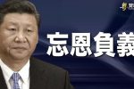 香港希望之聲