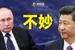 香港希望之聲