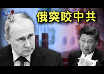 幫腔遭反咬 俄指中共拿美數百萬蝙蝠冠狀病毒研究費