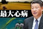 香港希望之聲