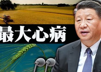 【每日要聞】習近平現身海南；要出事！上海最大社區群起；徹底打敗普京？俄要下重手  ｜主播：葉晚風