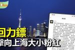 香港希望之聲