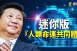 香港希望之聲