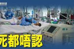 香港希望之聲