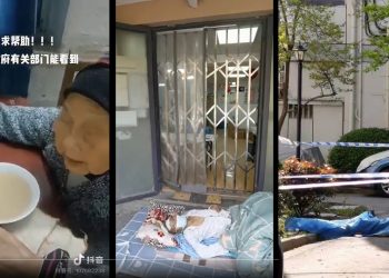 上海防疫進入死胡同 清零成笑話 政府公信卻降至零（視頻）