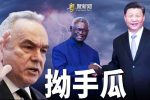 香港希望之聲