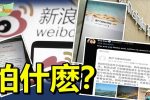 香港希望之聲