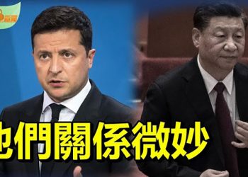 【希望聽新聞】封城封不住民怨 中共網路審查員頭大；開始要飯！長春女孩餓哭「要吃飯」；習近平與澤連斯基關係微妙｜ 主播：雯雯