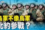 香港希望之聲 香港希望之聲