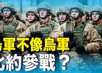 【每日要聞】烏克蘭軍隊打法奇怪 專家分析背後原因；英美默許烏克蘭反攻 刺激俄羅斯 ｜主播 : 李冬梅
