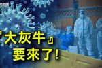 香港希望之聲