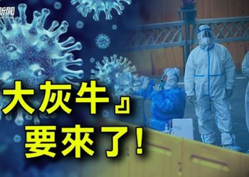 【財經熱點】地產業風險增高 北京提高政策支持預期？灰犀牛越來越近｜主播：芬妮
