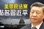 香港希望之聲