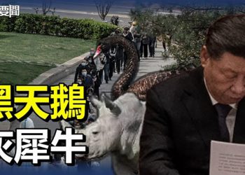 【每日要聞】習近平承認經濟面臨巨大挑戰 黑天鵝 灰犀牛將層出不窮; 俄將為普京出席G20峰會做準備; 川普首次在「真相」社群發文: 我回來了