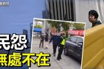 香港希望之聲
