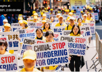 澳國立大學報告：中共將外科醫師變為行刑者