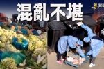 香港希望之聲