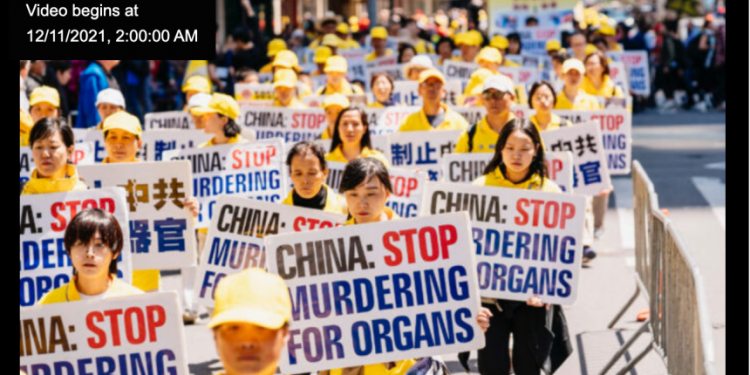 聚焦中共活摘器官罪行(圖片來源:英文大紀元網站截圖)。