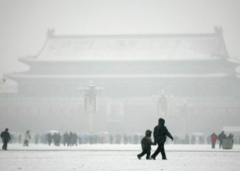 習近平出手？中共二十大博弈新方向標 多維突然停運
